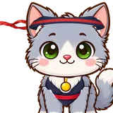 Kitten in the Ninja look